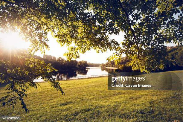 man with bicycle on grassy field by lake at park during sunny day - minneapolis park stock pictures, royalty-free photos & images