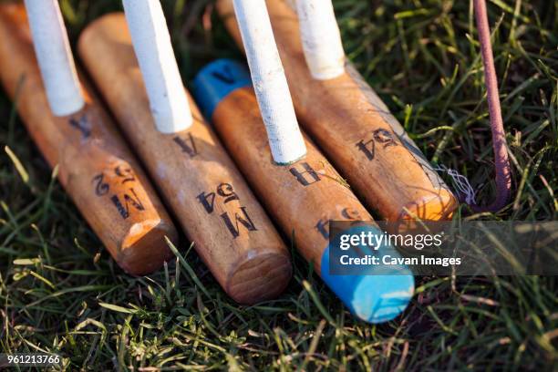 close-up of wooden polo mallets on grassy field - taco de pólo imagens e fotografias de stock