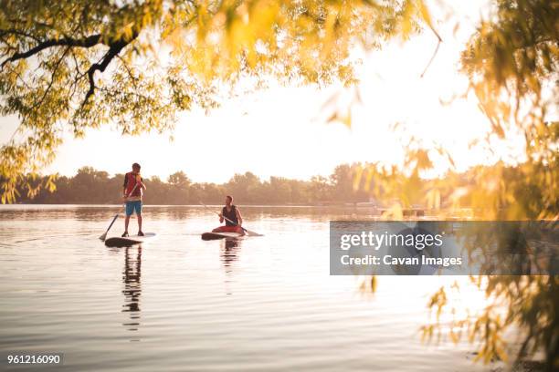 father and son paddleboarding at lake on sunny day - minneapolis photos et images de collection