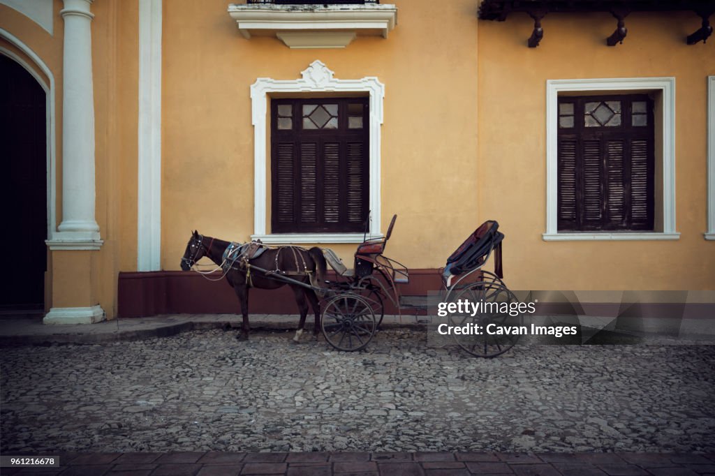 Horse cart on road by building