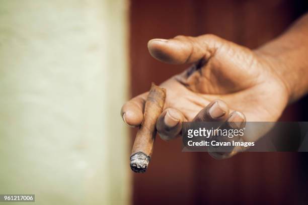 cropped image of hand holding cigar - cigar stock-fotos und bilder