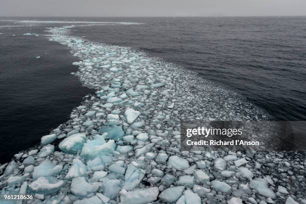 brash ice in bransfield strait - ice floe stock pictures, royalty-free photos & images