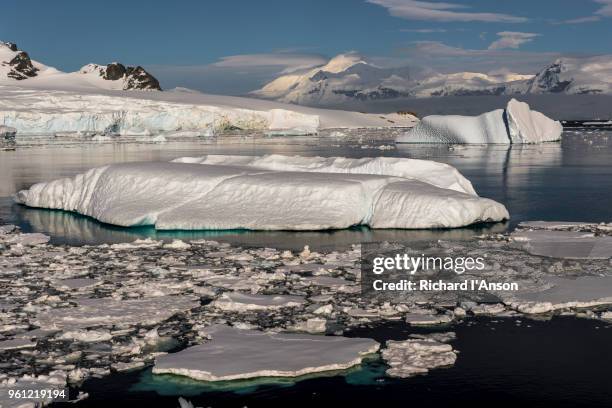 286 Gerlache Island Stock Photos, HighRes Pictures, and Images Getty