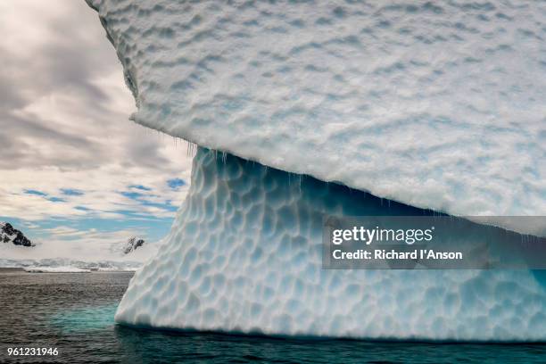 iceberg in gerlache strait near cuverville island - détroit de gerlache photos et images de collection