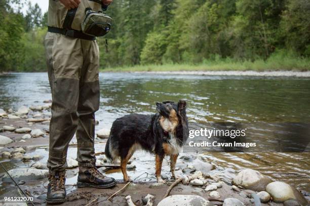 dog standing by man on riverbank - riverbank stock pictures, royalty-free photos & images