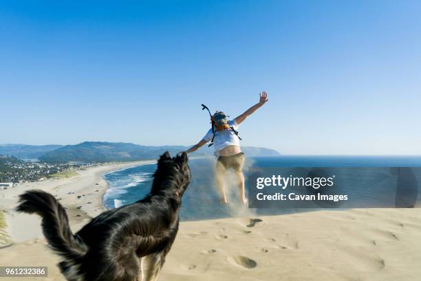 playful man jumping while dog standing at beach against clear blue sky - tillamook county stock-fotos und bilder