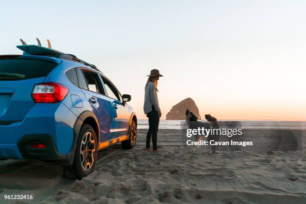 happy woman with dog standing by car at beach - tillamook county stock pictures, royalty-free photos & images