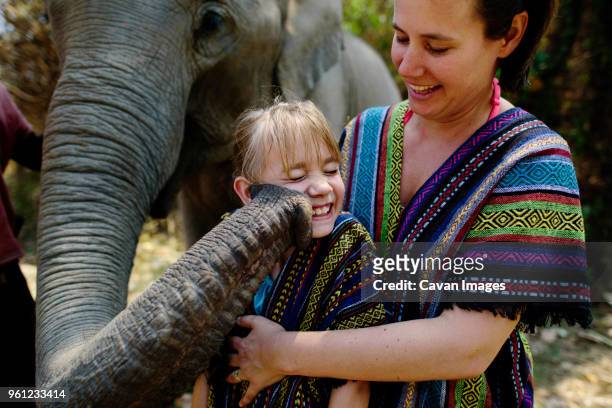elephant touching girl with trunk standing by mother - muzzle human stock pictures, royalty-free photos & images