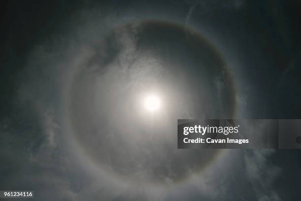 low angle view of sundog - sundogs stock pictures, royalty-free photos & images