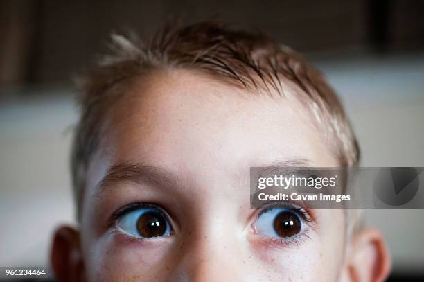 cropped image of boy looking away - surprised eyes stock pictures, royalty-free photos & images