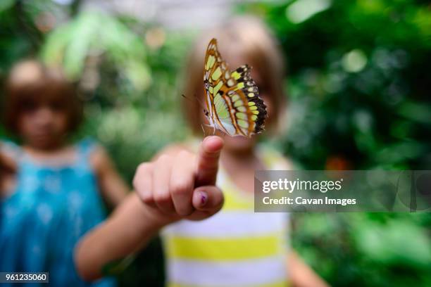 butterfly on girls finger at park - person index finger stock pictures, royalty-free photos & images