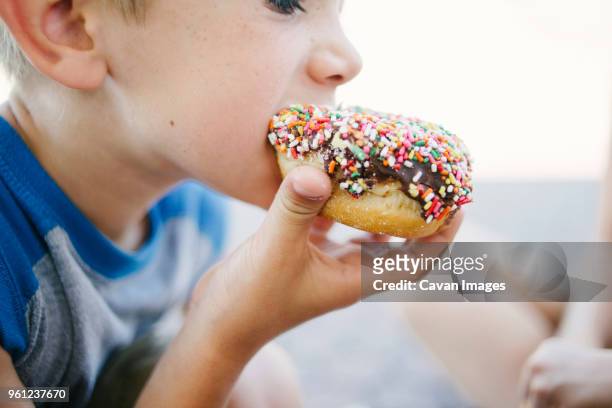 cropped image of boy eating donut - biting donut stock pictures, royalty-free photos & images
