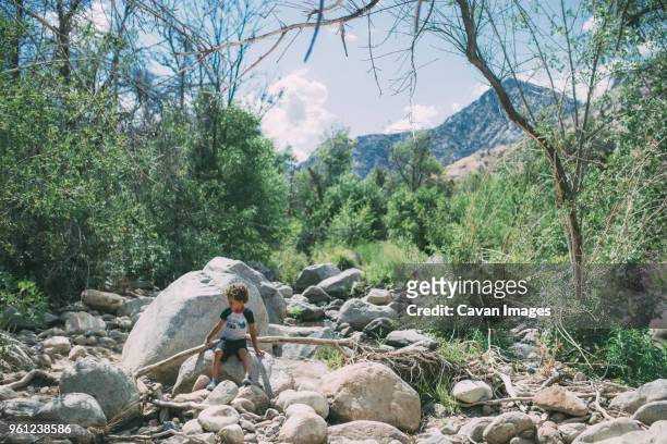 carefree boy looking away while sitting on rocks at forest during sunny day - kernville stock pictures, royalty-free photos & images