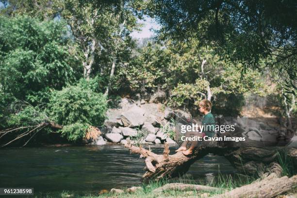 side view of boy fishing while sitting on fallen tree at lakeshore - kernville stock pictures, royalty-free photos & images