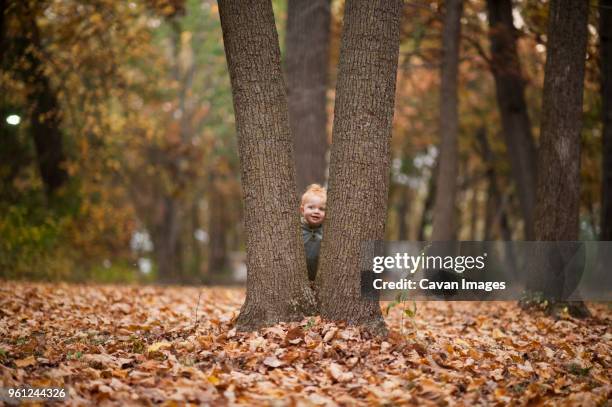 Baby In Tree Roots 46,712 Baby Tree Stock Photos, High-Res Pictures, and Images - Getty Images