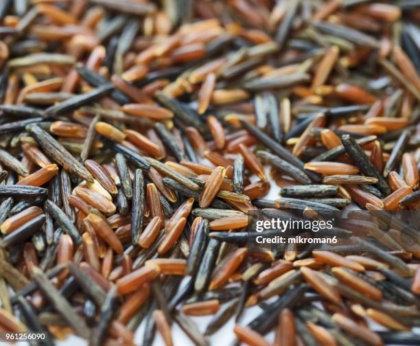 wild and red rice directly above view, macro shot. traditional food. - mikroman6 imagens e fotografias de stock