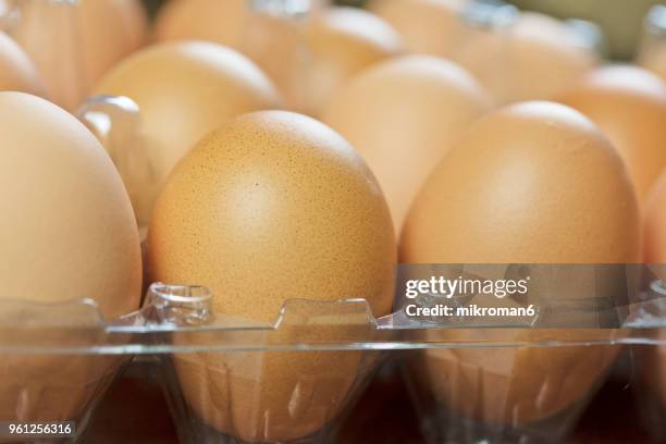 organic farm fresh brown eggs in a plastic container - mikroman6 imagens e fotografias de stock