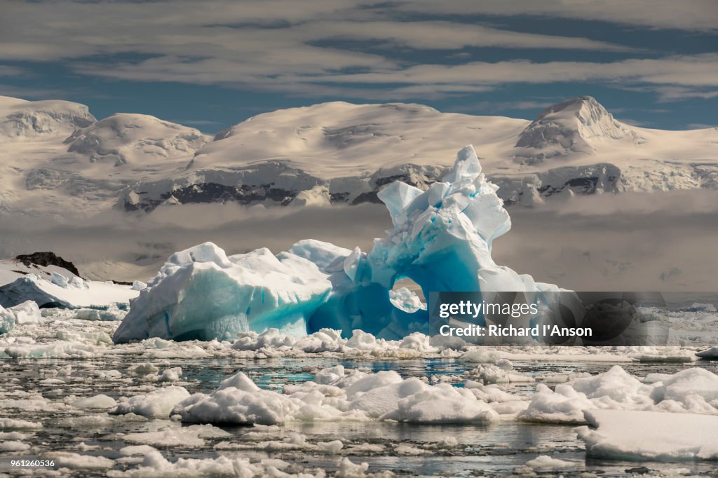 Brash ice & iceberg in Gerlache Strait near Cuverville Island
