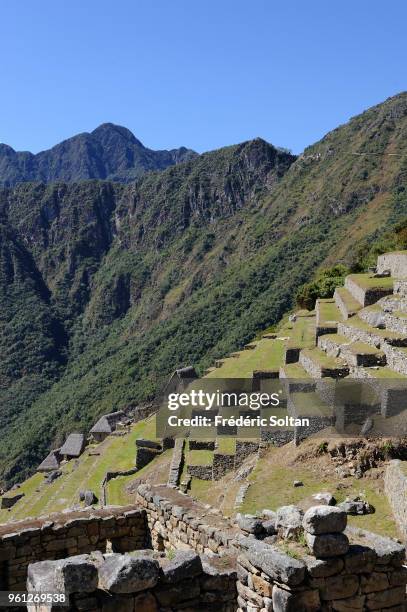 243 Pre Inca Civilizations Stock Photos, High-Res Pictures, and Images ...