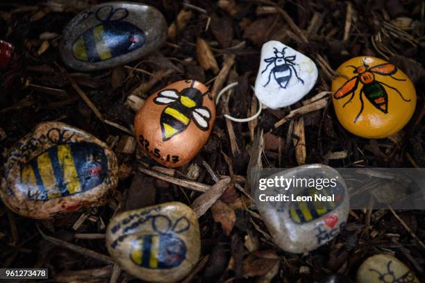 Decorated stones, featuring the Manchester bee icon are seen on the morning of the first anniversary of the terrorist attack in central Manchester,...