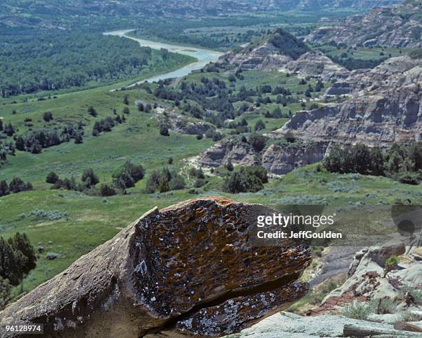 petrified log and the little missouri river - jeff goulden stock pictures, royalty-free photos & images