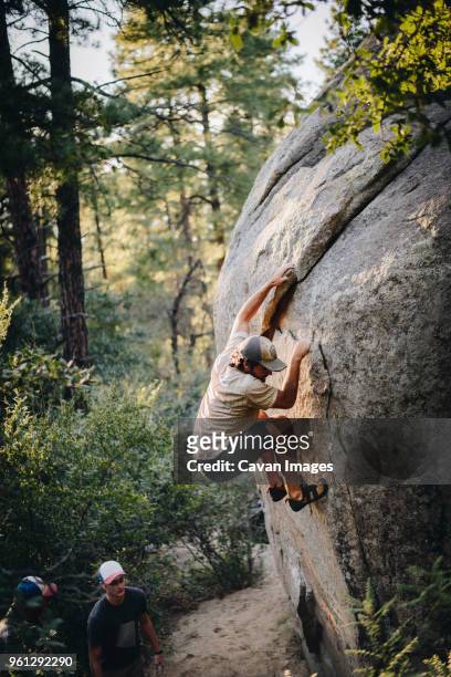high angle view of friends looking at hiker climbing rock formation in forest - prescott bildbanksfoton och bilder