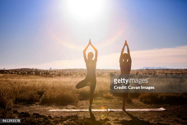 women practicing yoga in tree pose on field - marfa bildbanksfoton och bilder
