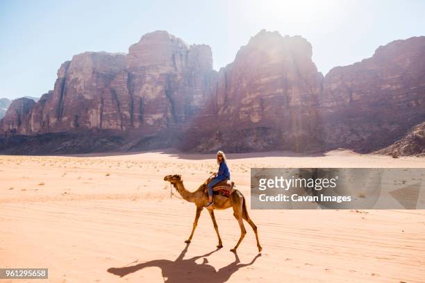 woman riding on camel in desert - cammello foto e immagini stock