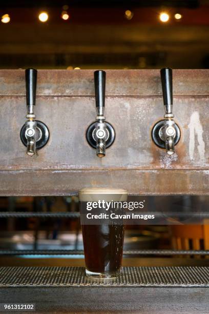 beer glass under taps - stoutbier stock-fotos und bilder