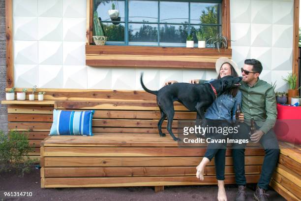 happy couple holding beer bottles playing with dog while sitting in backyard - woman dog bench stock pictures, royalty-free photos & images