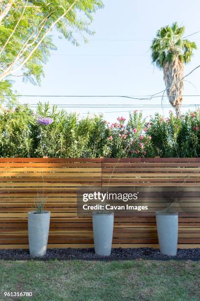 potted plants against wooden fence in backyard - fences 2016 film stock-fotos und bilder