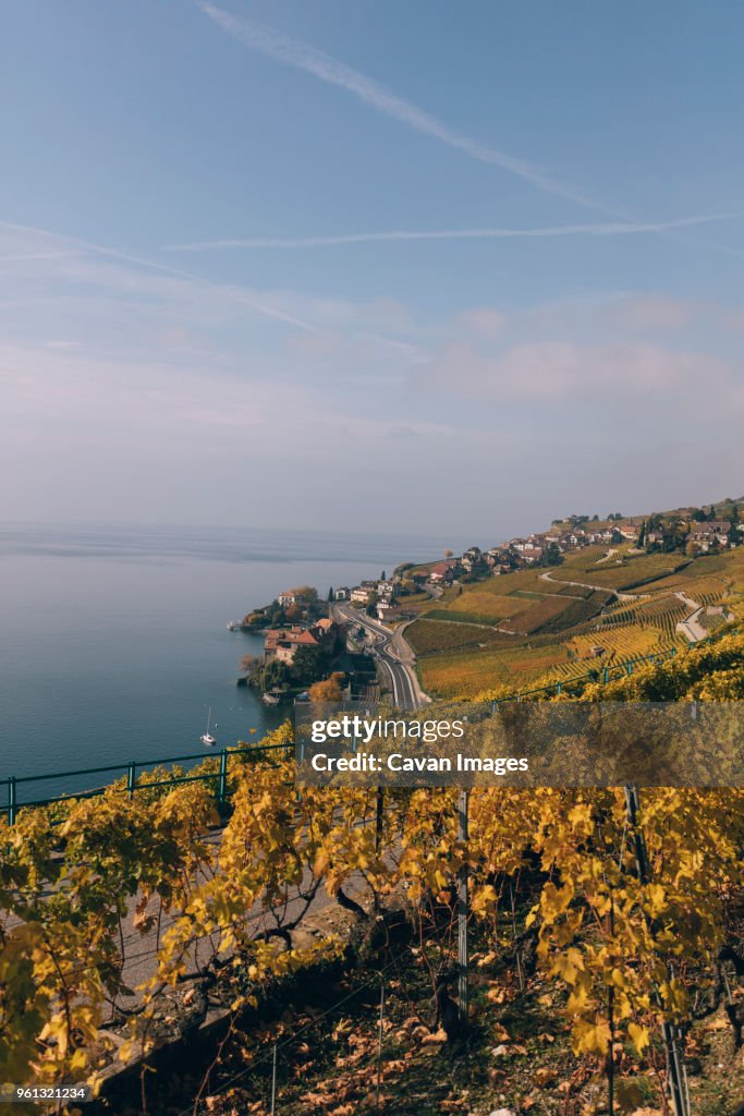 High angle view of terraced vineyard by Lake Geneva against sky