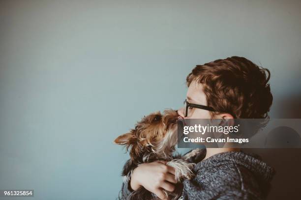 yorkshire terrier licking boys face against wall at home - kid face dog lick fotografías e imágenes de stock