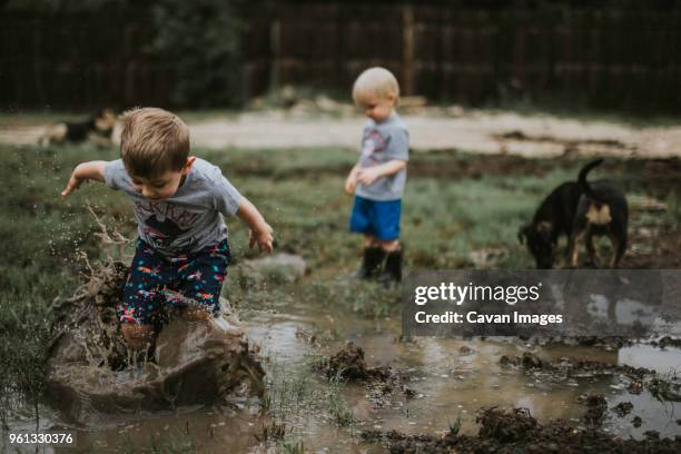 children playing on muddy field - messy dog stockfoto's en -beelden