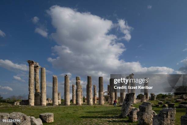 zeus temple ruins at uzuncaburc,  antique olba or diocaesarea southenr turkey , near sillifke town. - メルスィン ストックフォトと画像