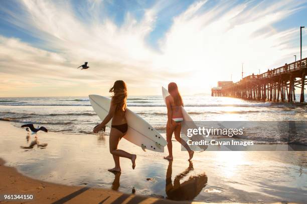 female friends holding surfboards and walking on wet shore - newport beach california stock pictures, royalty-free photos & images