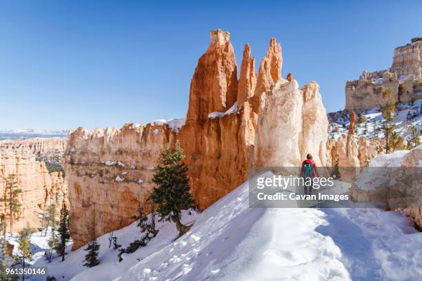 rear view of hiker walking on snow covered mountain at bryce canyon national park - bryce canyon photos et images de collection