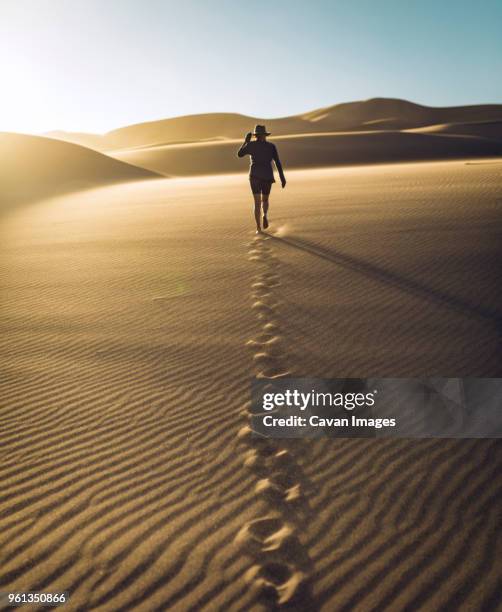 rear view of carefree woman walking on sand at great sand dunes national park during sunset - great sand dunes national park 個照片及圖片檔