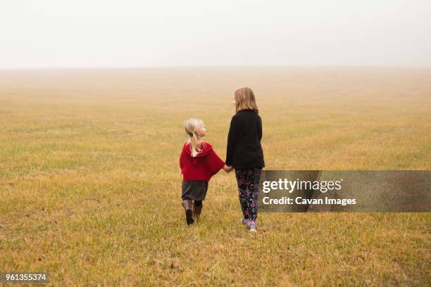 rear view of siblings walking on field during foggy weather - westminster maryland stock pictures, royalty-free photos & images