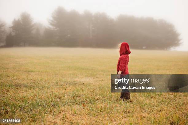 side view of girl standing on field during foggy weather - westminster maryland stock pictures, royalty-free photos & images