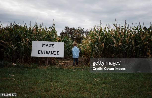 rear view of girl standing by maze entrance sign at corn field - corn maze stock pictures, royalty-free photos & images