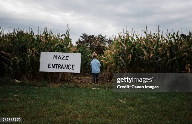 rear view of girl standing by maze entrance sign at corn field - corn maze imagens e fotografias de stock