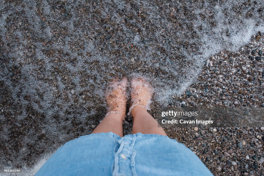 Low section of girl standing on beach in water