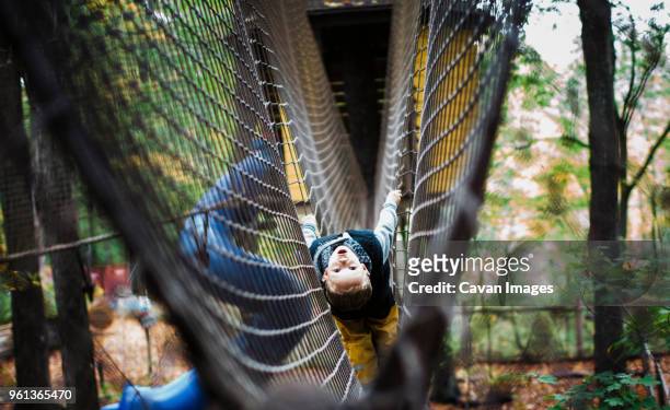 portrait of playful boy hanging in jungle gym at playground - jungle gym ストックフォトと画像