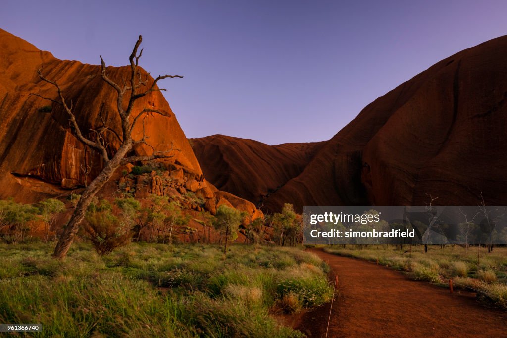 Pre-Dawn Light At Uluru