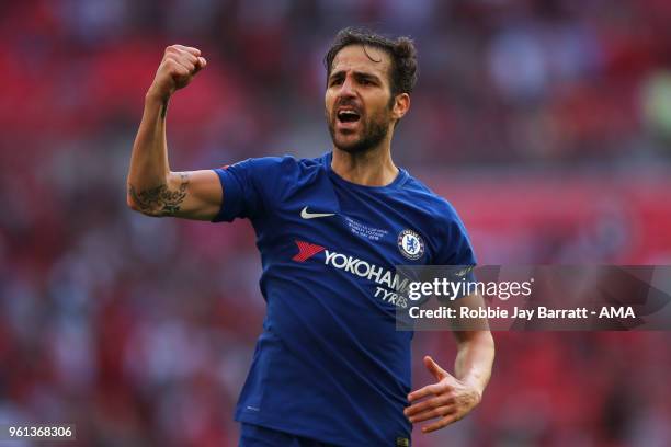 Cesc Fabregas of Chelsea celebrates at full time during The Emirates FA Cup Final between Chelsea and Manchester United at Wembley Stadium on May 19,...
