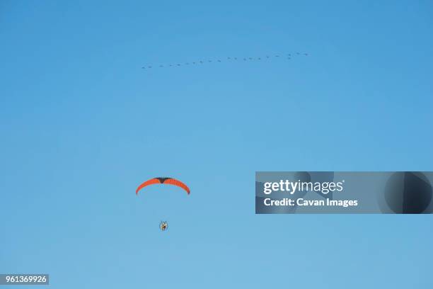 low angle view of young man motor paragliding against clear blue sky - motor paraglider stock pictures, royalty-free photos & images