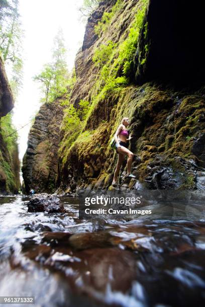 hiker climbing mountain by river - garganta de oneonta fotografías e imágenes de stock