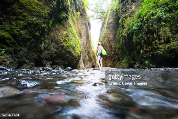 female hiker standing on river amidst mountains - oneonta gorge stock pictures, royalty-free photos & images