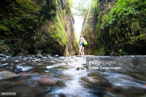 female hiker standing on river amidst mountains - oneonta gorge bildbanksfoton och bilder